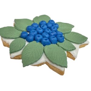 Berry Cookie