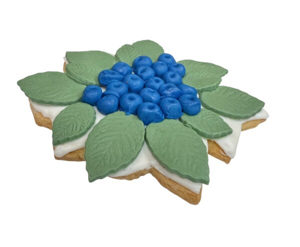Berry Cookie
