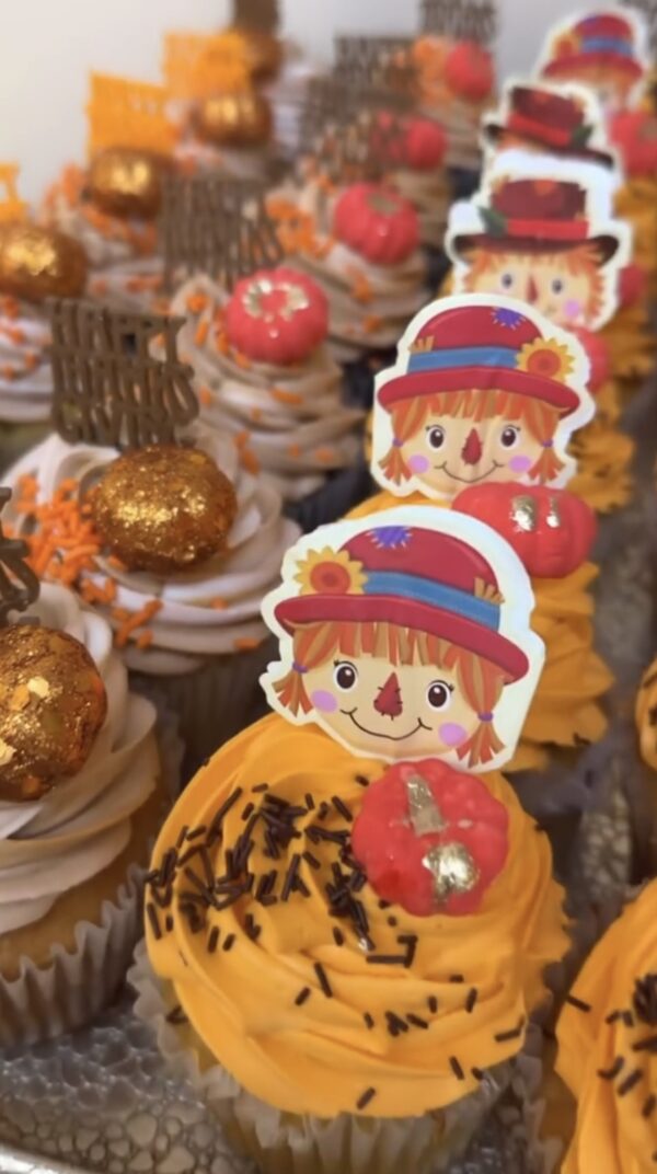 Occasion Cupcake 3